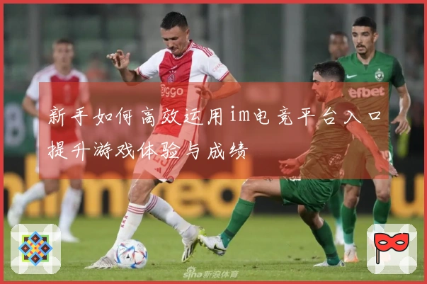 新手如何高效运用im电竞平台入口提升游戏体验与成绩