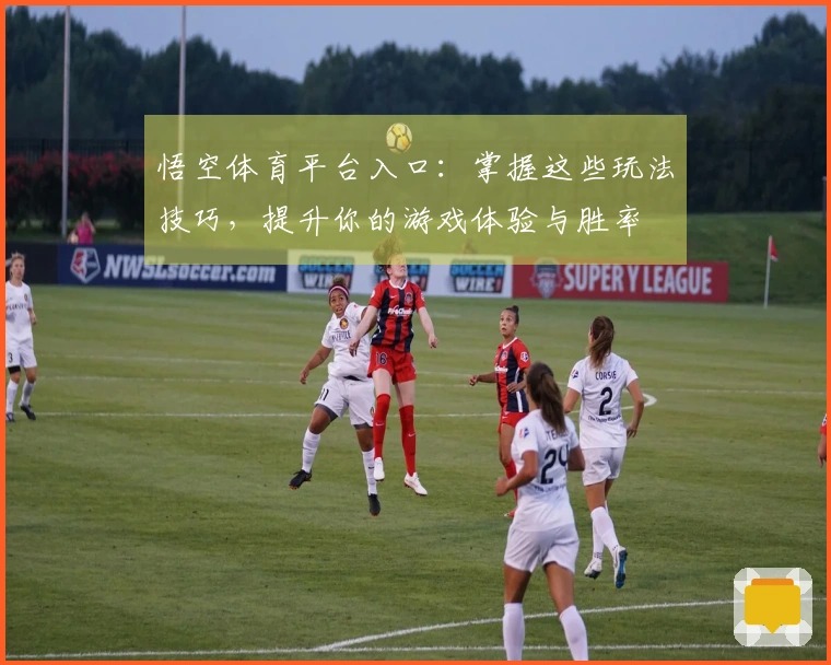 悟空体育平台入口：掌握这些玩法技巧，提升你的游戏体验与胜率