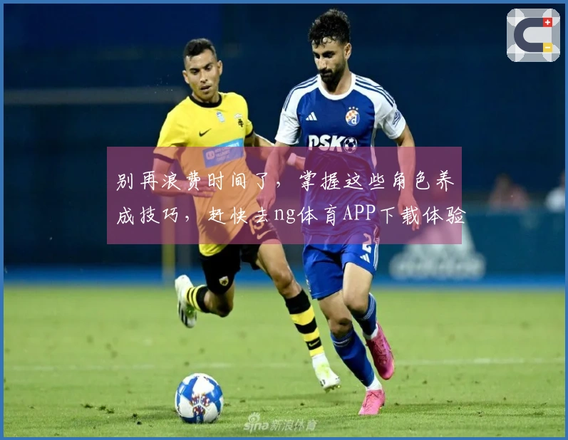 别再浪费时间了，掌握这些角色养成技巧，赶快去ng体育APP下载体验吧！
